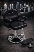 Silla 2009-1
